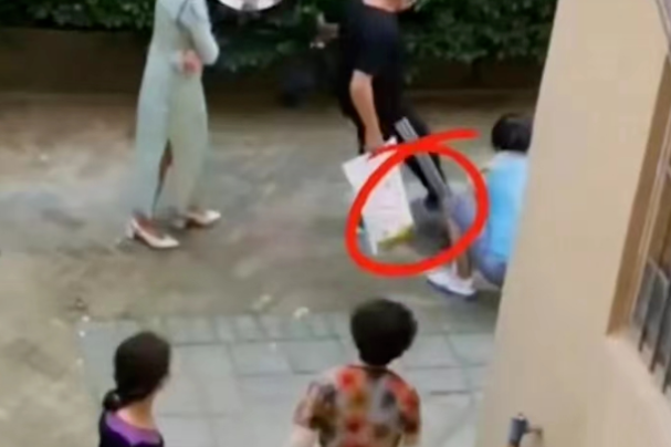 女子喂养流浪猫被大妈压在身上打，网友：打人不对