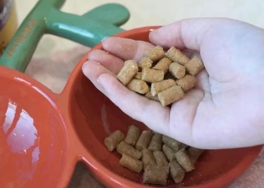 肉活力猫粮怎么样 肉活力猫粮怎么样