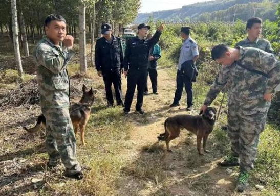 无人机天上飞，警犬地上追，全部追回！