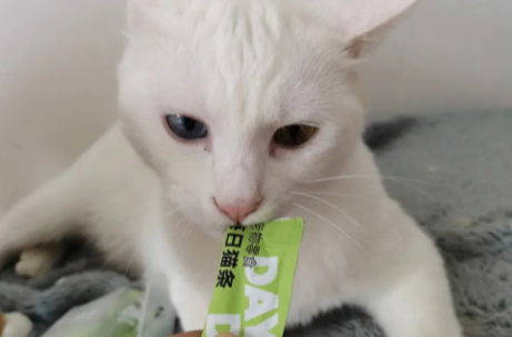 金多乐猫条:美味与营养的完美结合 金多乐猫条:美味与营养的完美结合