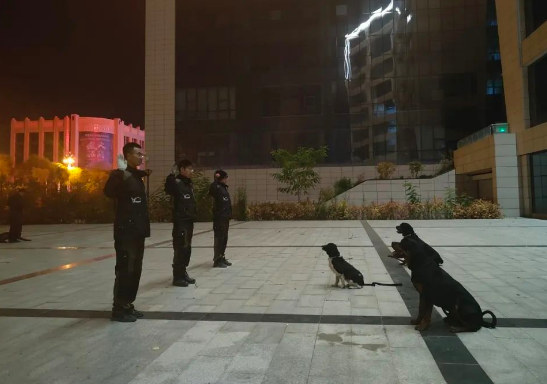 勤学苦练强实战 “犬”力以赴保平安