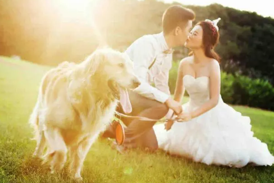 主人拍婚纱照带狗狗的图片 主人拍婚纱照带狗狗的图片