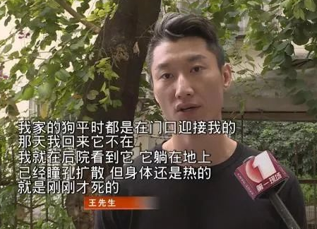 投毒疑云:25万杜宾犬疑似被毒身亡 查询监控竟然发现。。。 投毒疑云:25万杜宾犬疑似被毒身亡 查询监控竟然发现。。。