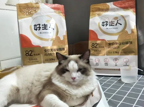 好主人猫粮怎么样