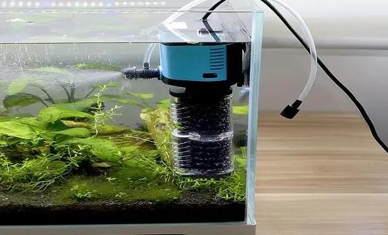 鱼缸氧泵使用方法 鱼缸氧泵使用方法