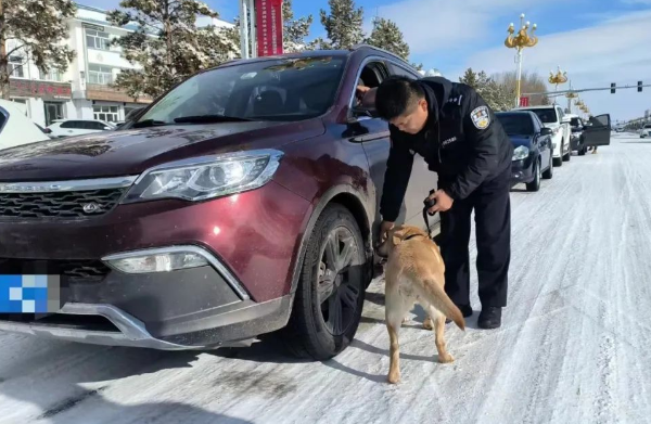 陈巴尔虎旗公安局开展冬季警犬训练 着力提升警犬实战能力水平 陈巴尔虎旗公安局开展冬季警犬训练 着力提升警犬实战能力水平