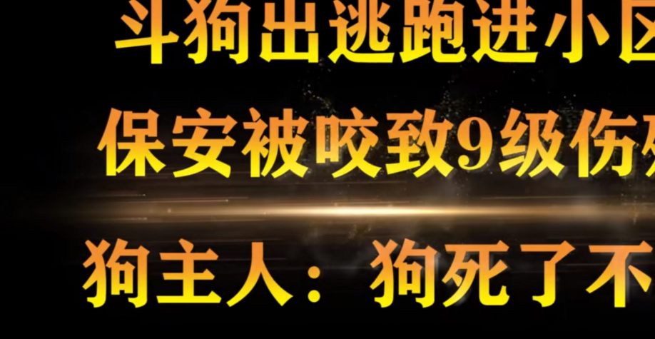保安小区巡逻被狗咬伤，狗主人出尔反尔不赔。法官：由不得你