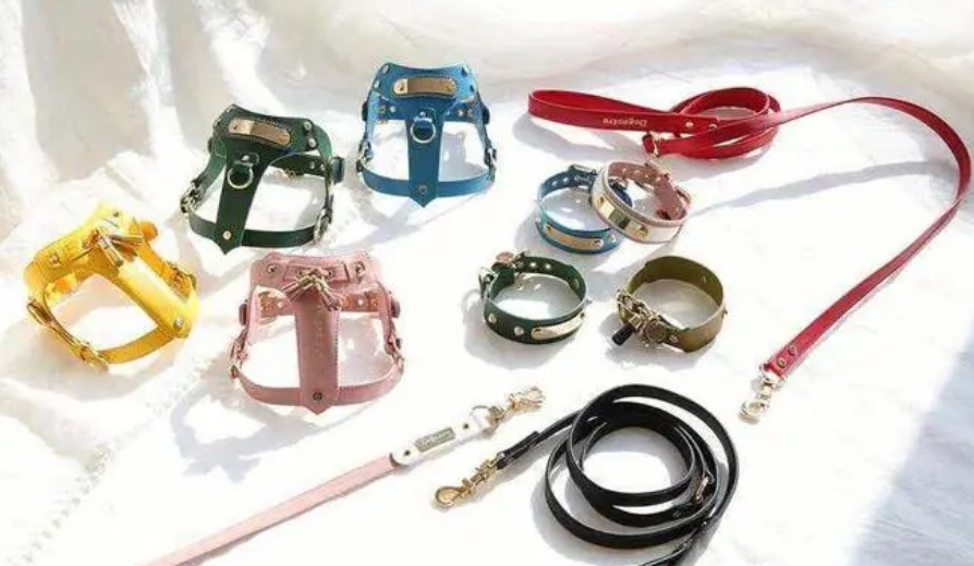宠物经济悄然兴起,“铲屎官们”养出了千亿消费市场 宠物经济悄然兴起,“铲屎官们”养出了千亿消费市场