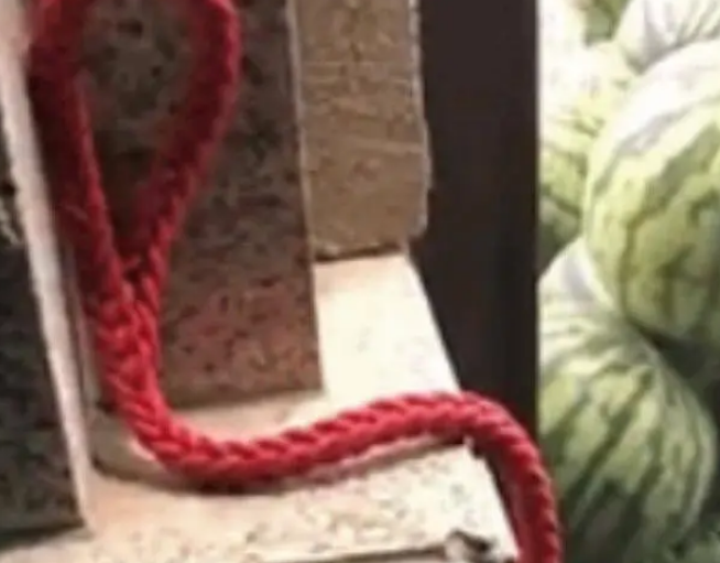 网友发现哈士奇被捆绑在街上,好奇上前一看,结果瞬间笑喷 网友发现哈士奇被捆绑在街上,好奇上前一看,结果瞬间笑喷