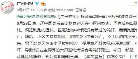 可以不爱，但请不要伤害，毒死宠物狗是要负法律责任的
