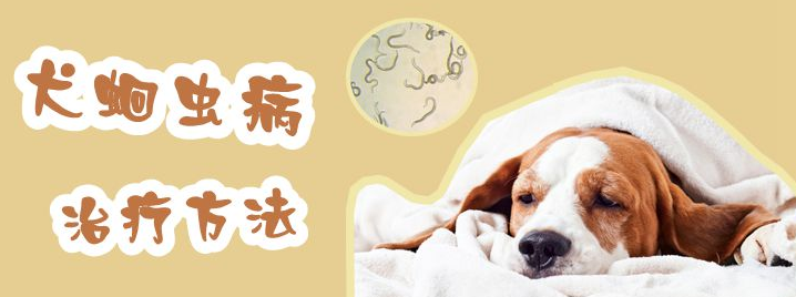 怎么知道犬蛔虫已除尽 怎么知道犬蛔虫已除尽