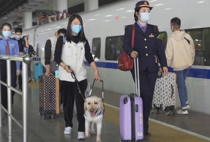 坐高铁能带宠物吗