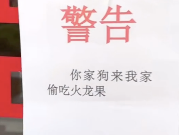 狗狗偷吃邻居家的火龙果,被对方挂在了门上,还拍下了证据证明! 狗狗偷吃邻居家的火龙果,被对方挂在了门上,还拍下了证据证明!