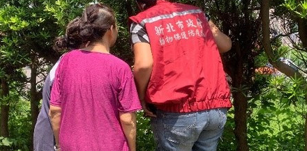 黑狗散步凭空消失,在3米山坡上找到,瘫倒在洞坑里吓得双眼无神 黑狗散步凭空消失,在3米山坡上找到,瘫倒在洞坑里吓得双眼无神