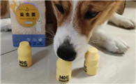 宠物益生菌的作用与功效