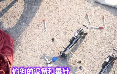 河北:男子开面包车偷狗,遭村民拿砖头怒砸,砸坏了两块玻璃 河北:男子开面包车偷狗,遭村民拿砖头怒砸,砸坏了两块玻璃