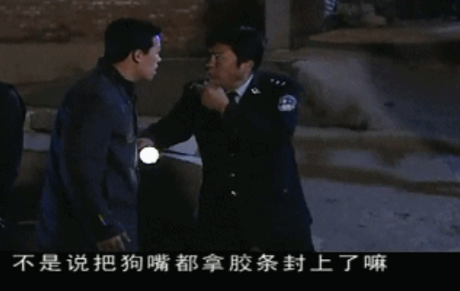 毒贩养的27只烈犬见到警犬后秒变乖宝宝…原来普通狗子也怕见警察哈哈！