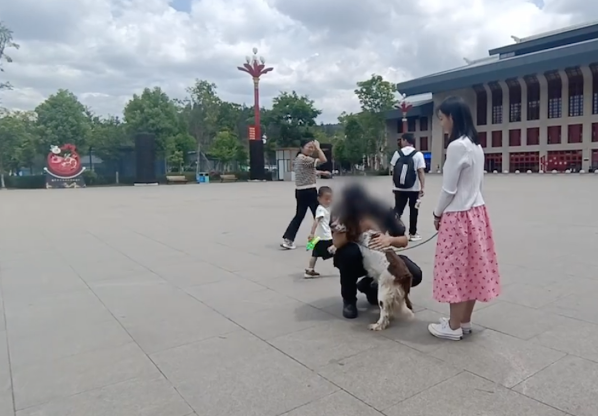 警官偶遇一只和去世警犬很像的狗,连名字都一样 警官偶遇一只和去世警犬很像的狗,连名字都一样