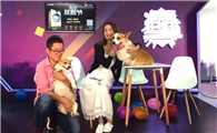 宠物直播哪个平台比较多