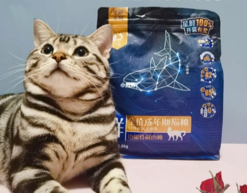 中鲨猫粮可靠吗?一文告诉你 中鲨猫粮可靠吗?一文告诉你