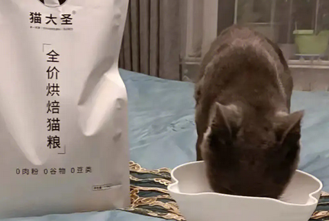 猫大圣猫粮测评,快来看看吧~ 猫大圣猫粮测评,快来看看吧~
