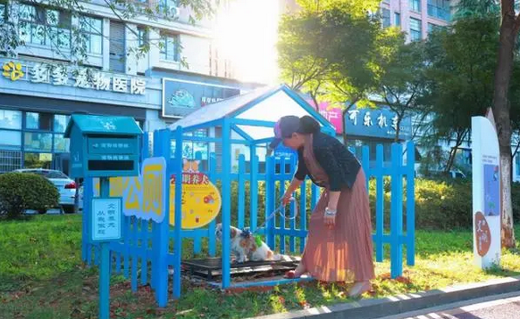 湖南长沙：街道“宠物公厕”上线 文明养犬有方