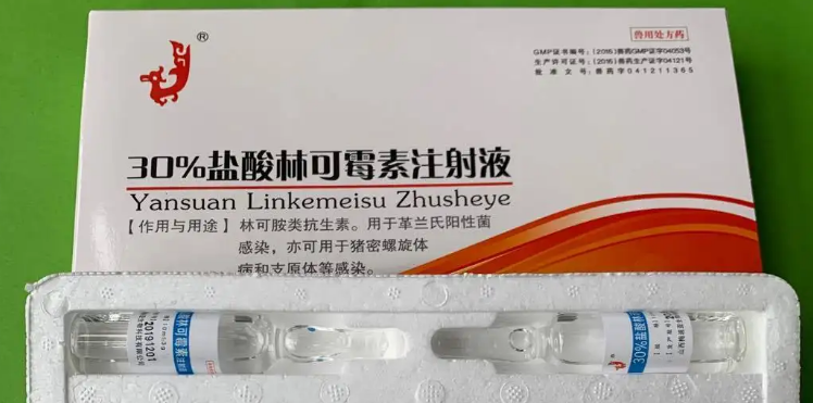 盐酸林可霉素说明书 盐酸林可霉素说明书