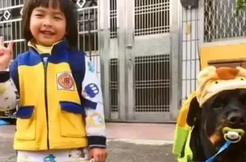 没见过这么会讨人欢心的罗威纳，真是给猛犬丢脸了！