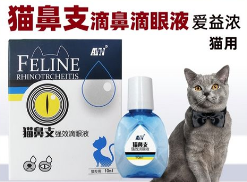 爱益浓生物科技:引领生物科技,创新健康未来 爱益浓生物科技:引领生物科技,创新健康未来