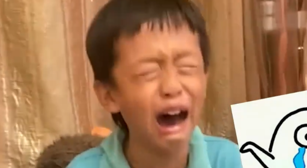 云南一男孩刚养的仓鼠被狗咬死,当场崩溃大哭,一个细节让人心疼 云南一男孩刚养的仓鼠被狗咬死,当场崩溃大哭,一个细节让人心疼