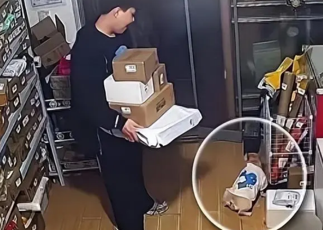 武汉女店主因嫌狗在店内撒尿起争执被打，男子：它是老子家人