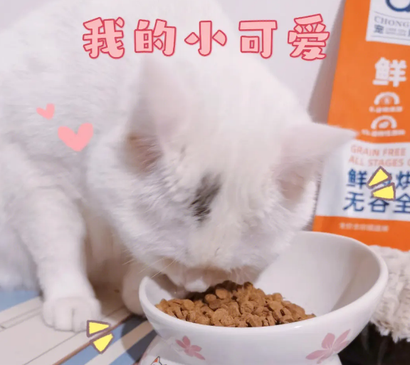 宠熙鲜肉烘焙猫粮H42测评结果：老年猫慎选