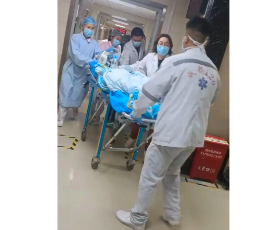 黑狗咬伤女童,狗主人最高面临7年以下有期徒刑!注意,这些犬种禁养 黑狗咬伤女童,狗主人最高面临7年以下有期徒刑!注意,这些犬种禁养