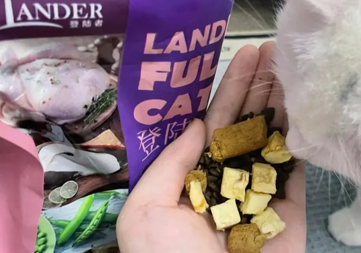 登陆者猫粮:为猫咪提供全面的营养与健康保障 登陆者猫粮:为猫咪提供全面的营养与健康保障
