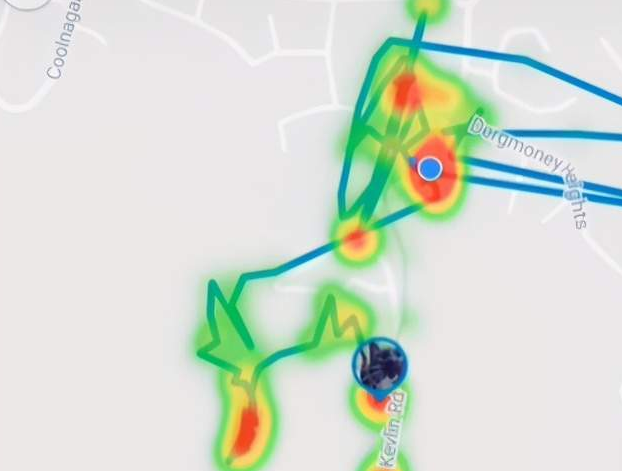 主人给猫咪戴GPS,意外发现它还有5个家!猫界时间管理大师 主人给猫咪戴GPS,意外发现它还有5个家!猫界时间管理大师