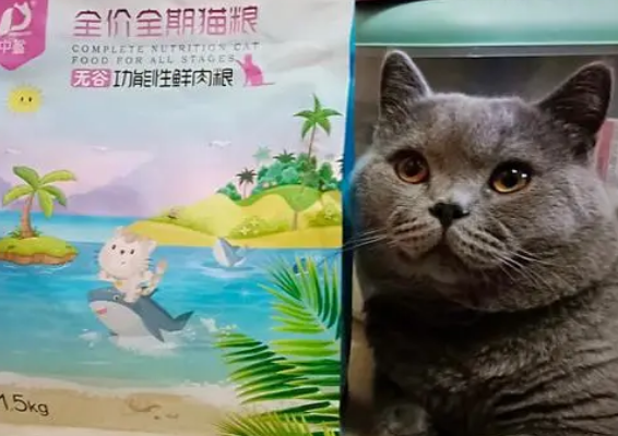 中鲨猫粮可靠吗?一文告诉你 中鲨猫粮可靠吗?一文告诉你