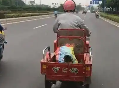小狗装进西瓜不愿出来，四只脚伸出来好萌，想狗肉西瓜