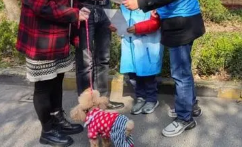 “喵呜”,这个街道举办了一场宠物专属活动! “喵呜”,这个街道举办了一场宠物专属活动!