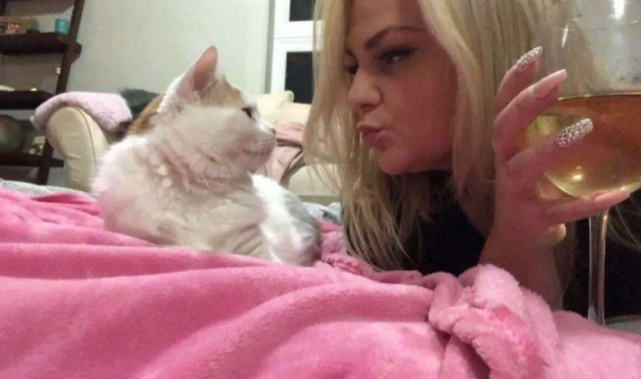 猫咪毛发太长真不方便，上完厕所之后，还等着主人亲手给擦屁股