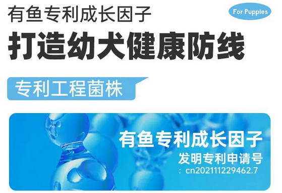 有鱼推出臻选系列犬粮，将全力扶持线下门店渠道