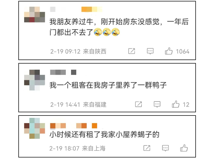 离谱！租客跟房东说养宠物，结果养的是一匹马？？