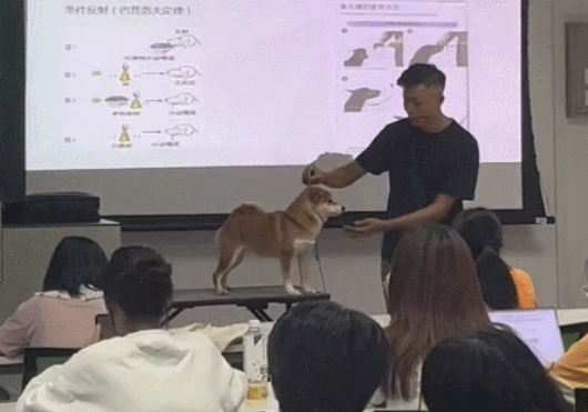带狗上课被没收,转眼看到老师狂亲狗狗800下?!校长:都别急先让我来! 带狗上课被没收,转眼看到老师狂亲狗狗800下?!校长:都别急先让我来!