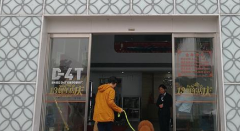 铲屎官带大狗提车，店员小哥趁机撸狗，宠主：这狗比车还要贵
