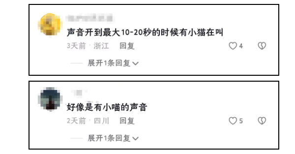 火爆全网的”犟种猫”,反复摔倒反复跳楼顶,却把上千网友看哭了 火爆全网的”犟种猫”,反复摔倒反复跳楼顶,却把上千网友看哭了