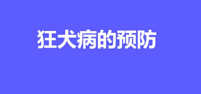 预防狂犬病的措施