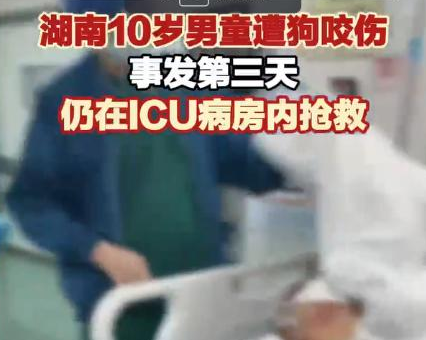 咬伤10岁男孩，阿拉斯加犬被打死，爱狗人士不满：狗咬人是天性