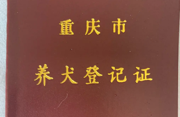 主人用金毛拉臭臭的照片办理狗证，被全网嘲笑，但5年后才能换证1