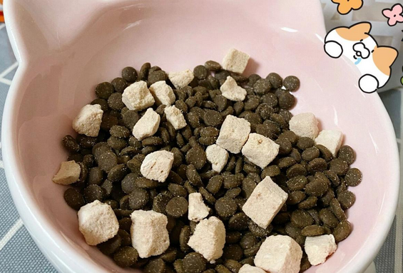 深度测评 | 有鱼海陆臻选猫粮3.0 深度测评 | 有鱼海陆臻选猫粮3.0