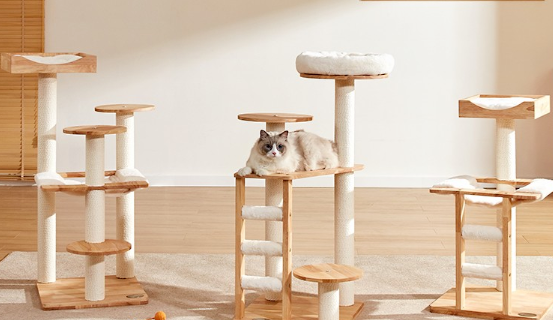 兽牌实木猫爬架:高颜值猫咪的欢乐天堂 兽牌实木猫爬架:高颜值猫咪的欢乐天堂