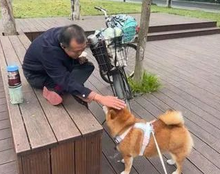 外送员停车就是一阵撸狗,社牛柴犬爽到躺下,奴才笑像渣狗! 外送员停车就是一阵撸狗,社牛柴犬爽到躺下,奴才笑像渣狗!